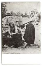 Roden, Bezembindsters Roderveld. Reprint Knoop, Verzenden, 1940 tot 1960, Ongelopen, Drenthe
