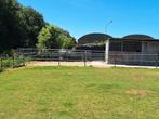 Stal met eigen weiland, Dieren en Toebehoren, Stalling en Weidegang