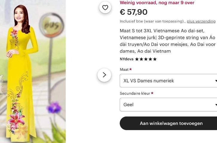 Jurk Handborduurwerk, Vietnamese áo dài -set, Kleding | Dames, Jurken, Zo goed als nieuw, Maat 42/44 (L), Geel, Onder de knie