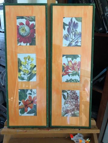 Set van 2 ingelijste botanische prenten beschikbaar voor biedingen