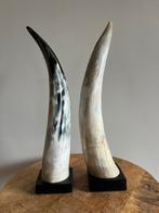 Set van 2 decoratieve hoorns op voet – luxe woonaccessoire, Ophalen of Verzenden