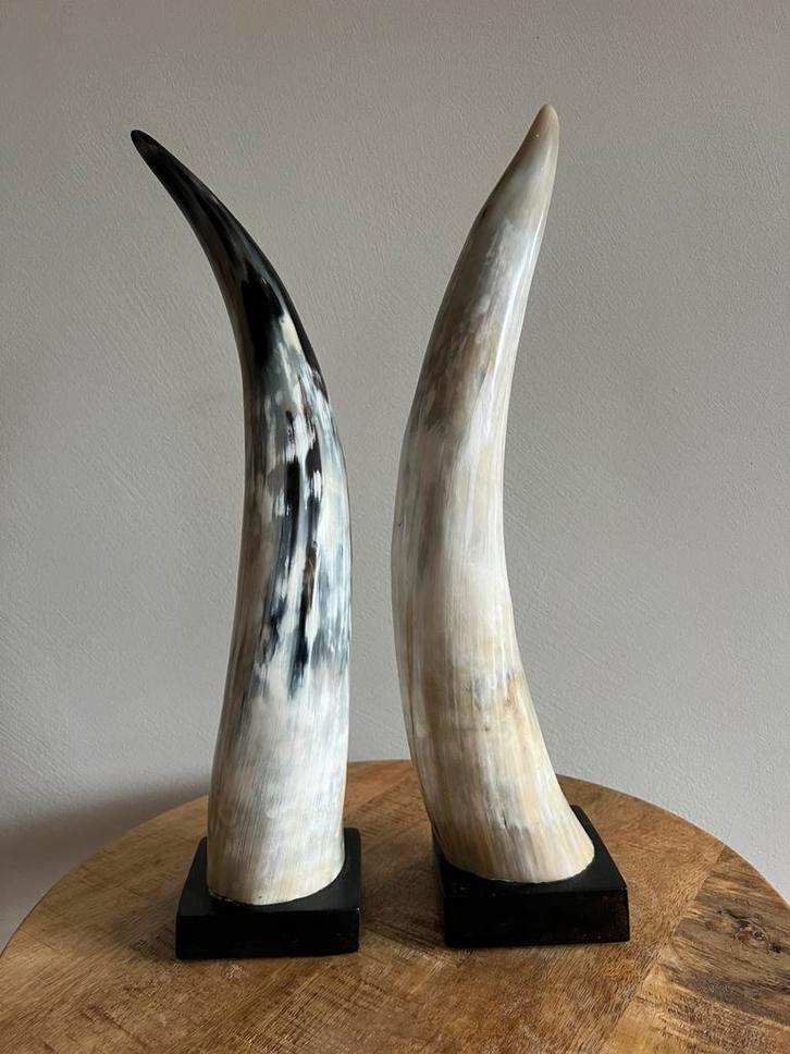 Set van 2 decoratieve hoorns op voet – luxe woonaccessoire, Antiek en Kunst, Kunst | Designobjecten, Ophalen of Verzenden