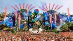 Tomorrowland 2026 4x Magical Friday Pass, Drie personen of meer