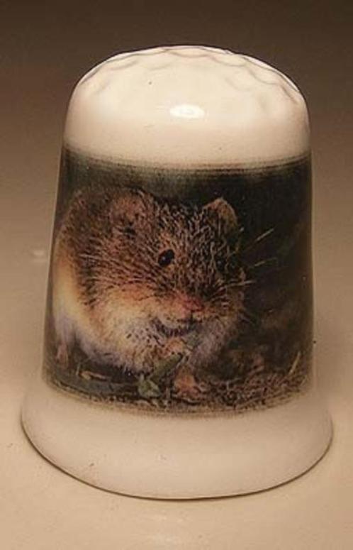 Muis foto vingerhoedje, Verzamelen, Vingerhoedjes, Nieuw, Nederland, Porselein, Ophalen of Verzenden
