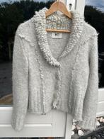 INTI Vest met kraag licht grijs, Kleding | Dames, Maat 42/44 (L), Ophalen of Verzenden, Zo goed als nieuw, Inti