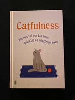 Paolo Valentino - Catfulness, Persoonlijkheidsleer, Ophalen of Verzenden, Zo goed als nieuw, Paolo Valentino