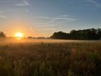 Weiland of stuk grond te huur gevraagd Arnhem e.o.