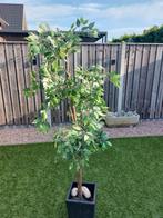Kunstplant binnen/buiten, Tuin en Terras, Ophalen, Volle zon, Overige soorten