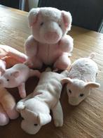 4 knuffels varken klein, Ophalen of Verzenden, Zo goed als nieuw, Overige typen
