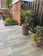 Betontegels, Tuin en Terras, Ophalen, Gebruikt, 10 m² of meer, Beton