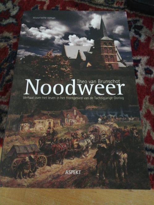 Theo van Brunschot - Noodweer, Boeken, Literatuur, Zo goed als nieuw, Ophalen of Verzenden