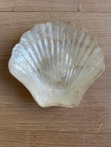 Sint Jacobs schelp schaaltje uit Capiz schelp. beschikbaar voor biedingen