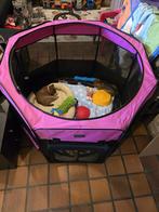 Shiba inu teef - geteste ouders en stamboom, Dieren en Toebehoren, Honden | Poolhonden, Keeshonden en Oertypen, België, Fokker | Hobbymatig