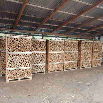 1.8 M3 ovengedroogd beuken haardhout in blokpalletkist beschikbaar voor biedingen