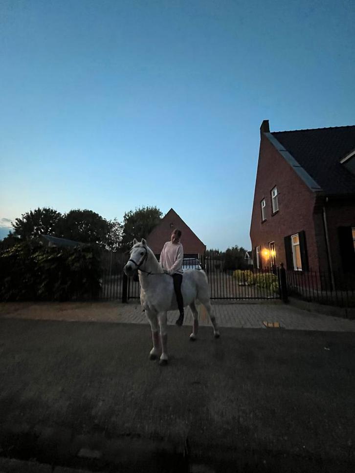 verzorg pony, Dieren en Toebehoren, Paarden en Pony's | Verzorgingsproducten, Zo goed als nieuw, Ophalen