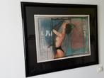 Lithografie Nico Vrielink, Antiek en Kunst, Kunst | Litho's en Zeefdrukken, Ophalen