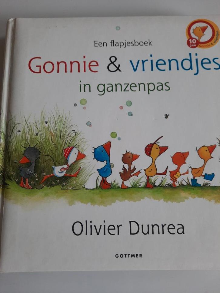 Gonnie & vriendjes in ganzenpas' mooi flapjesboek ZGAN, Boeken, Kinderboeken | Kleuters, Zo goed als nieuw, Fictie algemeen, Ophalen of Verzenden