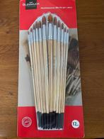 12-delige  Penselenset "Van Bleiswijck" Holland  Nieuw, Hobby en Vrije tijd, Ophalen of Verzenden, Nieuw