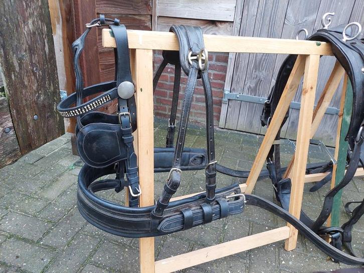 Enkelspan tuig IDEAL cob, Dieren en Toebehoren, Paarden en Pony's | Hoofdstellen en Tuigage, Gebruikt, Overige soorten, Ophalen of Verzenden