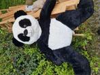 Pandsbeer groot, Ophalen of Verzenden, Overige typen