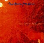 CD: Peter Hammill / The Noise – There Goes The Daylight, Ophalen of Verzenden, Zo goed als nieuw