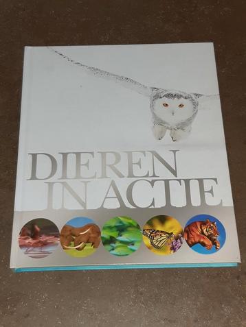 Dieren in actie nieuw Tirion  beschikbaar voor biedingen