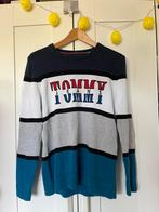 Tommy hilfiger trui, Kleding | Heren, Truien en Vesten, Maat 46 (S) of kleiner, Tommy hilfiger, Ophalen of Verzenden, Zo goed als nieuw