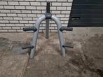 Technogym Olympische schijven rack 50mm, Ophalen, Zo goed als nieuw, Overige typen