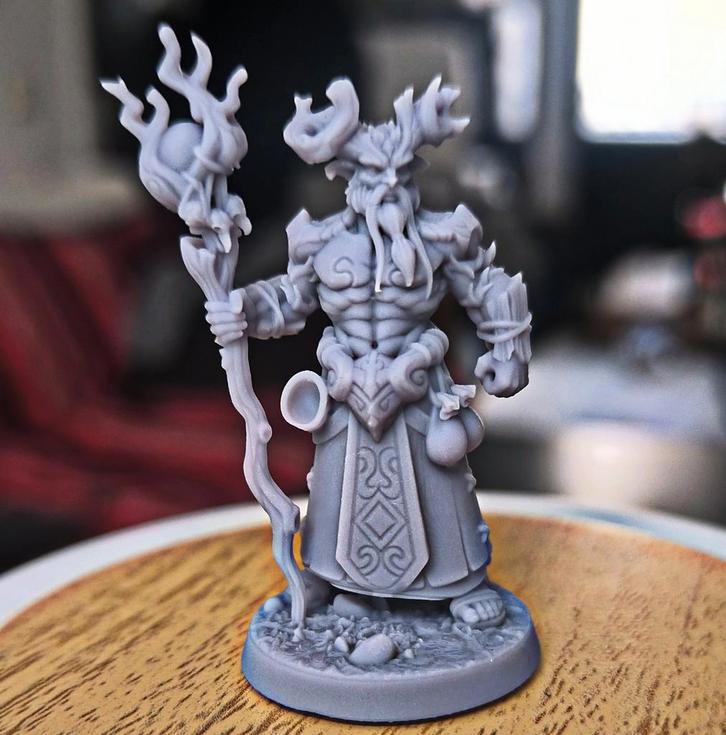 Dungeons & Dragons, D&D, HeroQuest, miniature fantasy, Druid, Hobby en Vrije tijd, Wargaming, Overige soorten, Ophalen of Verzenden