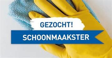 Schoonmaakster gezocht beschikbaar voor biedingen