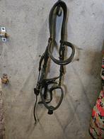 Hoofdstellen full, FRA kaptoom, leren halster, Ophalen of Verzenden, Overige soorten