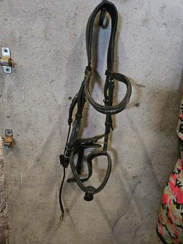 Hoofdstellen full, FRA kaptoom, leren halster  beschikbaar voor biedingen