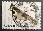 URUGUAY - vogel, Postzegels en Munten, Ophalen of Verzenden, Zuid-Amerika, Gestempeld