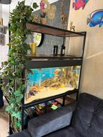 Uniek industrieel meubel met ingebouwd aquarium (250 ltr)., Ophalen, Zo goed als nieuw, Gevuld zoetwateraquarium