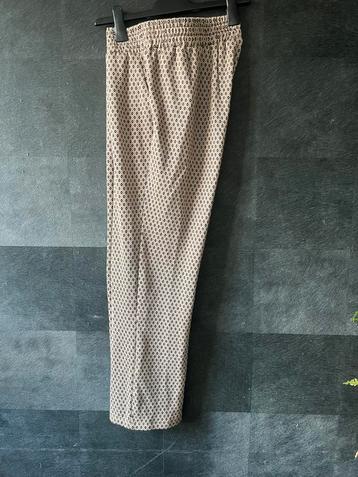 Leuke broek Paprika beschikbaar voor biedingen