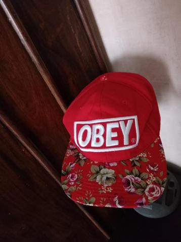 obey pet beschikbaar voor biedingen