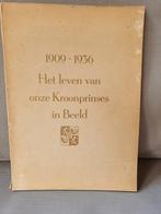 Het leven van onze kroonprinses in beeld, Verzamelen, Koninklijk Huis en Royalty, Ophalen of Verzenden, Zo goed als nieuw, Nederland