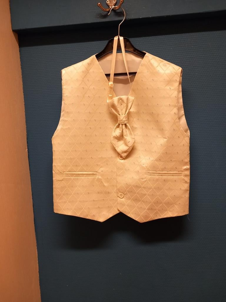 Gillet met stropdas, Ophalen of Verzenden