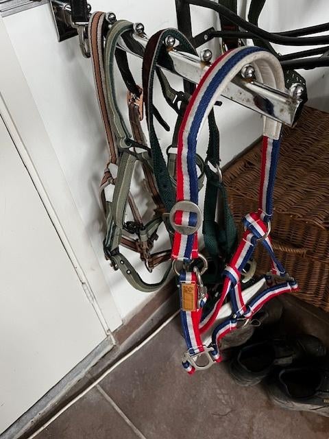 Paarden halsters 4 stuks nieuw, Ophalen of Verzenden, Nieuw, Overige soorten