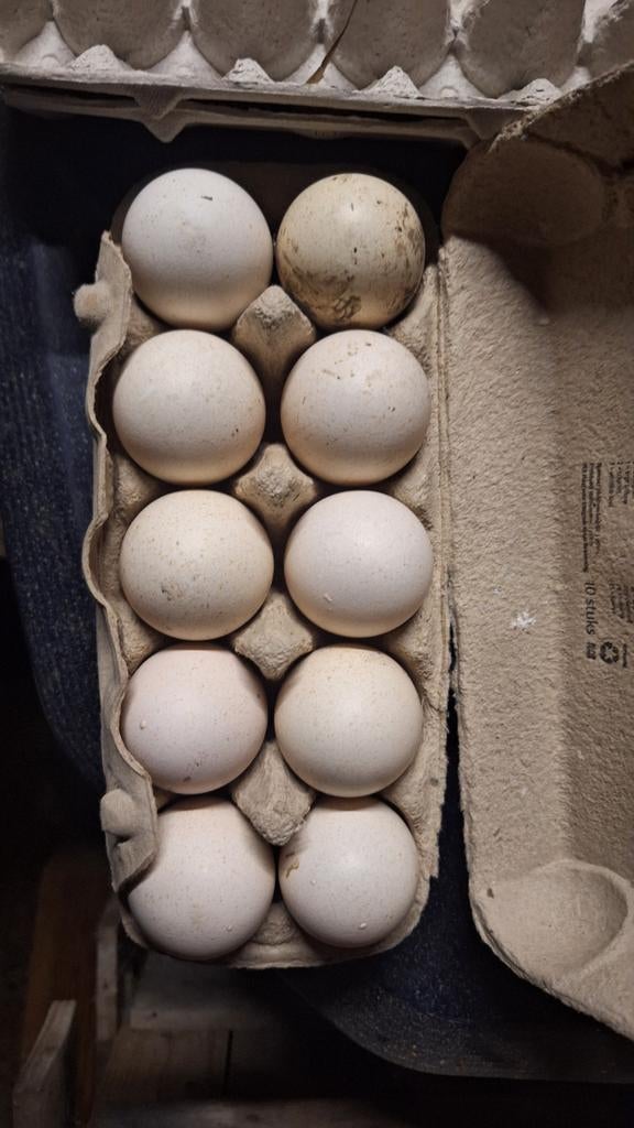 Eieren, kalkoen, eend, gans, Ophalen, Overige typen