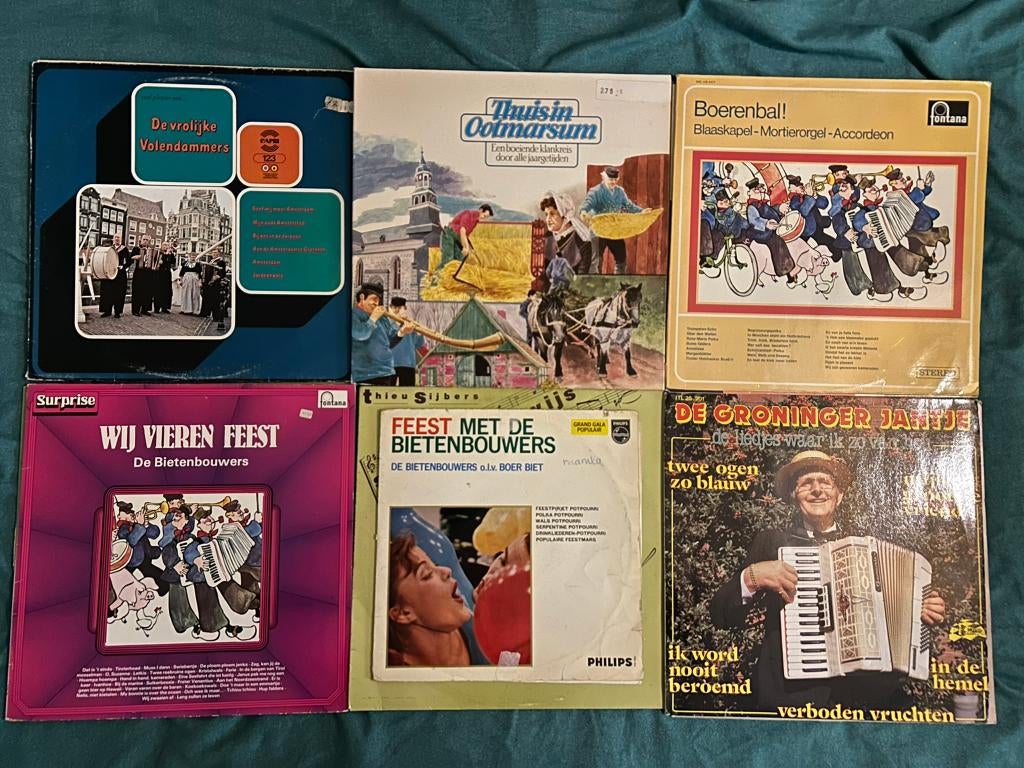 17 LP's in het dialect (ook per stuk te koop), Gebruikt, Ophalen of Verzenden, 1970 - 1979, 12 inch