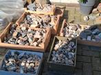 Mineralen en stenen voor (rots) tuin, Tuin en Terras, Grind, Keien en Split, Ophalen, Gebruikt