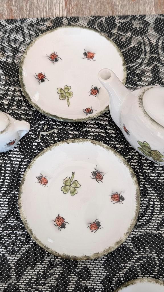 Sierlijk servies met lieveheersbeestjes en klavertjes vier, Huis en Inrichting, Keuken | Servies, Zo goed als nieuw, Compleet servies