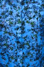 Doorknoopjurk licht blauw/ wit Jane Lushka mt XL Travel Vast, Kleding | Dames, Blauw, Maat 46/48 (XL) of groter, Ophalen of Verzenden