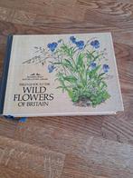 Field guide to the wild flowers of Britain, Boeken, Wonen en Tuinieren, Ophalen of Verzenden, Zo goed als nieuw, Interieur en Design