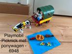 Playmobil 6948 picknick met ponywagen, Ophalen of Verzenden, Zo goed als nieuw, Complete set