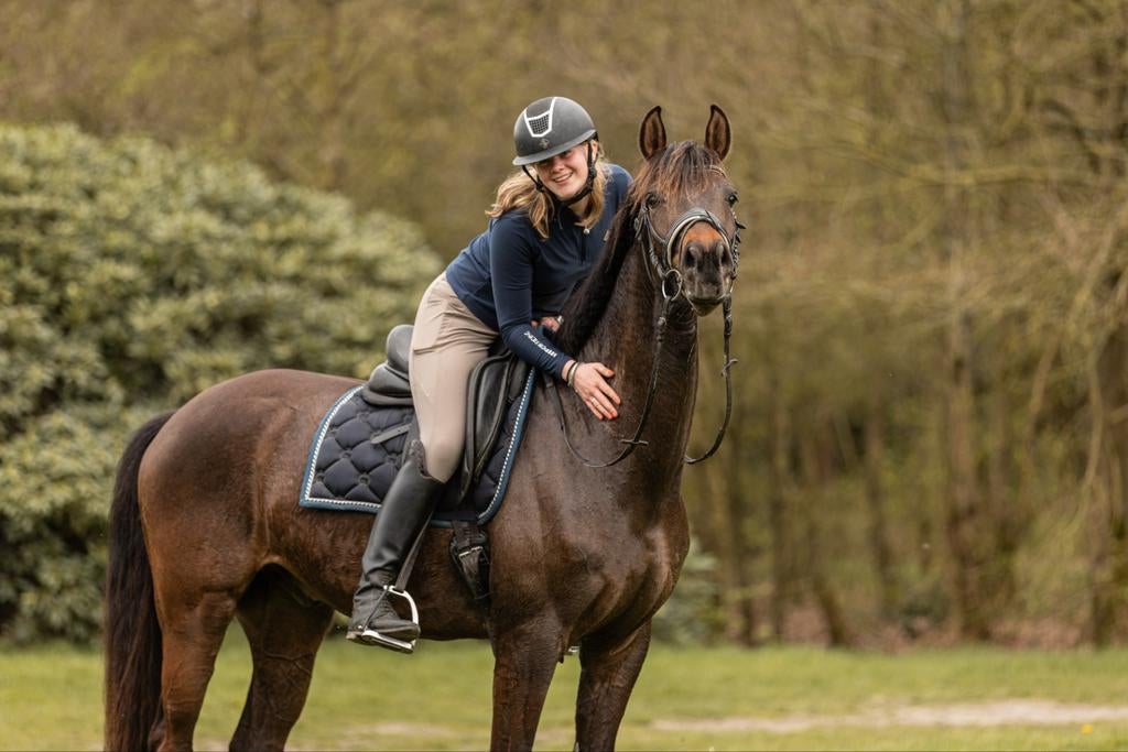 KWPN ruin 4 jaar – Allround dressuur/springen, Ruin, Dressuurpaard, Gechipt