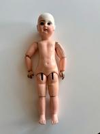 Antieke Jumeau pop 50 cm - Restauratieproject, Verzamelen, Poppen, Ophalen of Verzenden, Gebruikt, Pop