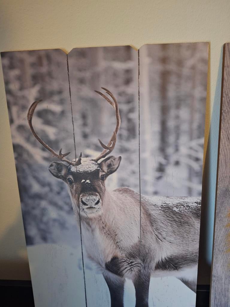 Set van 2 wanddecoraties: rendier en vos (58x38 cm), Huis en Inrichting, Ophalen, Hout, Gebruikt, Meerkleurig