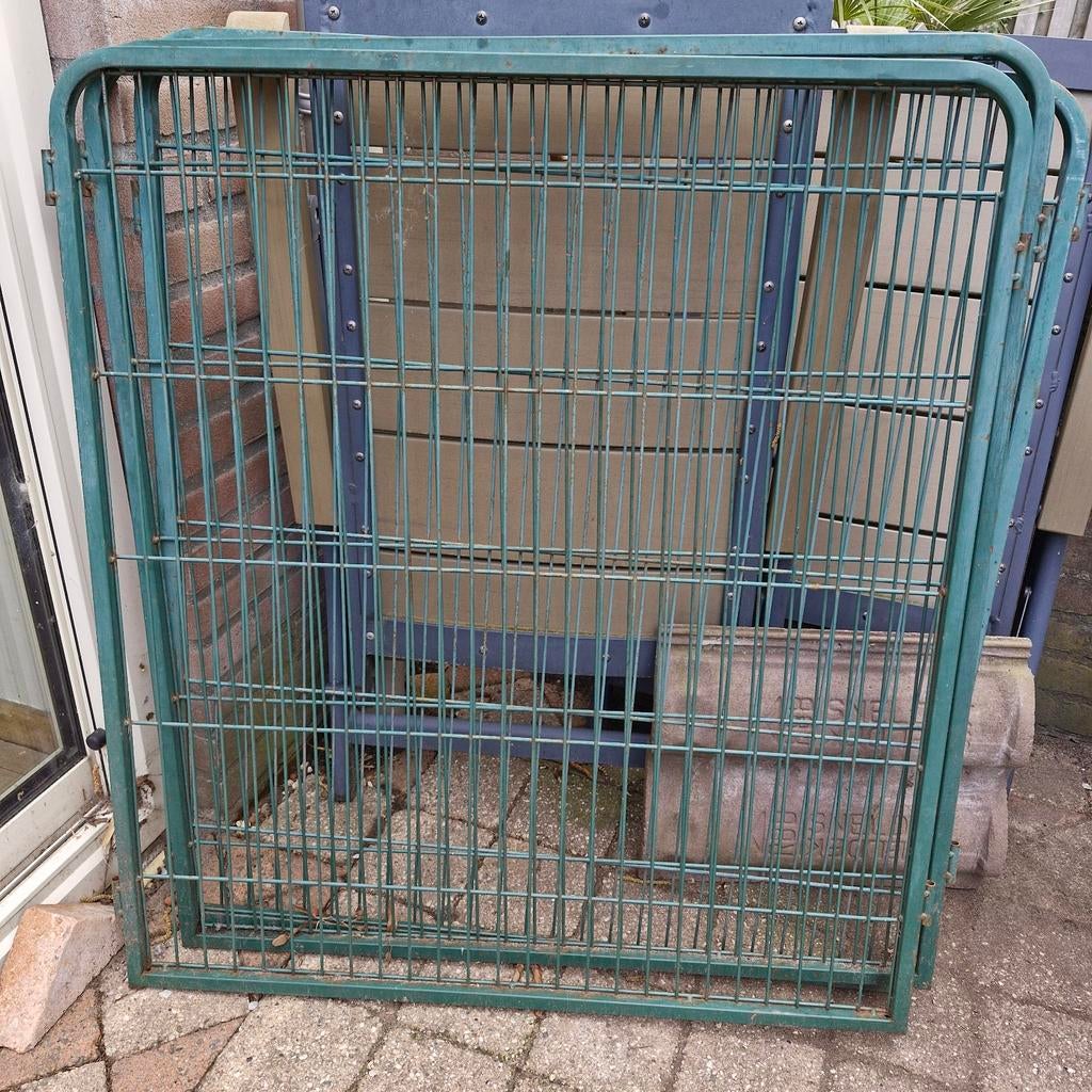 Puppy Ren, Dieren en Toebehoren, Ophalen, 110 cm of meer